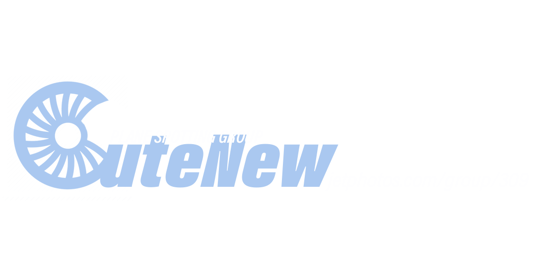 CuteNew Logo